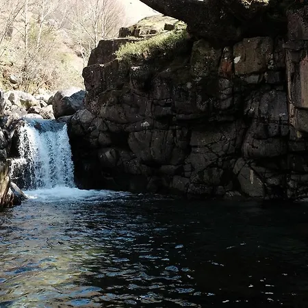 瑞斯小屋旅馆 旅馆 *