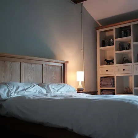 旅馆 瑞斯小屋旅馆 *