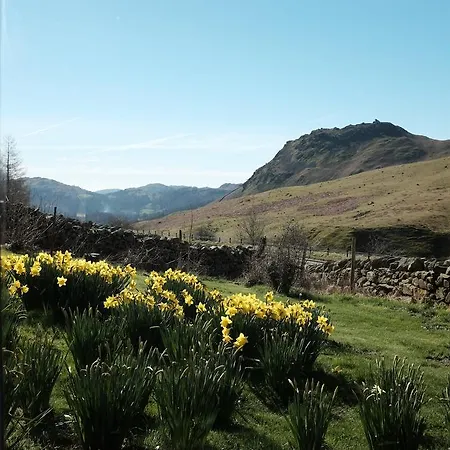 瑞斯小屋旅馆